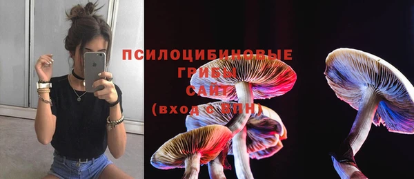 молекула духа Алексин