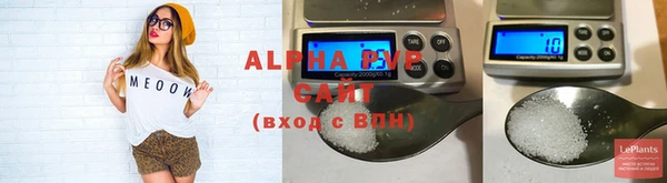 молекула духа Алексин