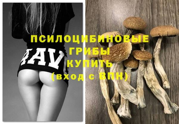 шишки Алексеевка
