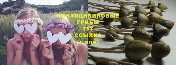 молекула духа Алексин