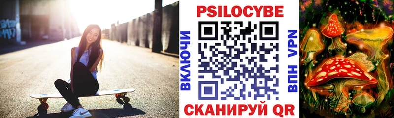 Псилоцибиновые грибы Psilocybine cubensis  закладка  Череповец 